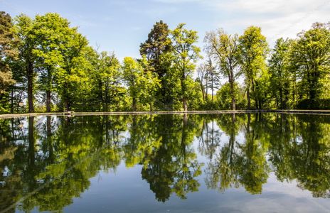 Reflejos