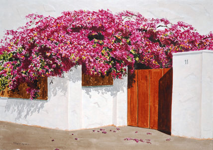 Buganvillas