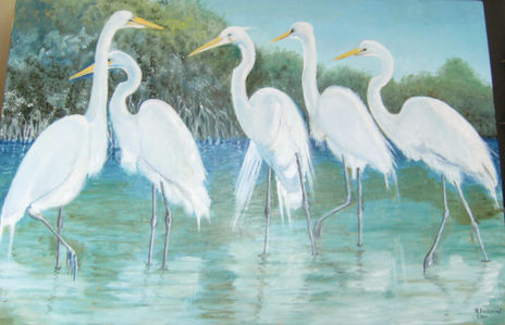 Garzas