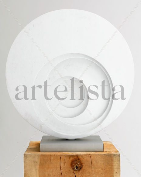 Rosa Blanca