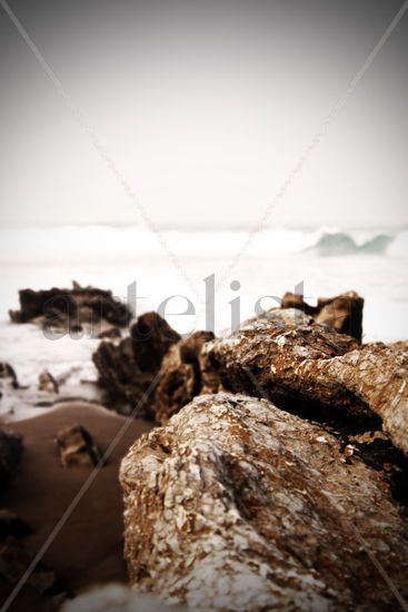 Rocas de Zumaia Naturaleza Color (Digital)