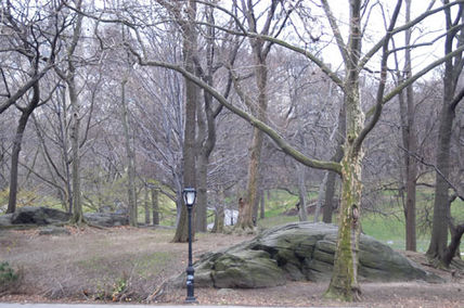 Nyc 8
