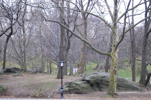 NYC 8