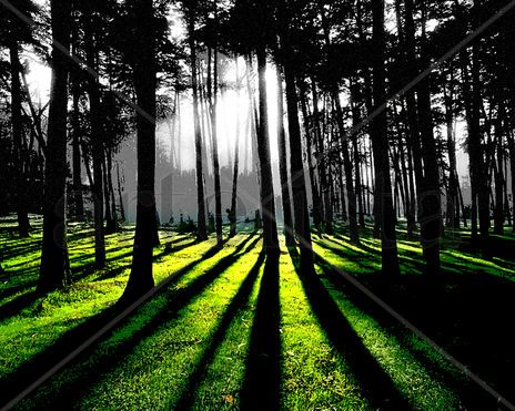 Sombras
