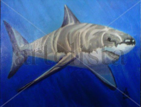 Tiburón