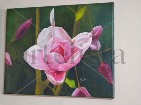 Magnolia