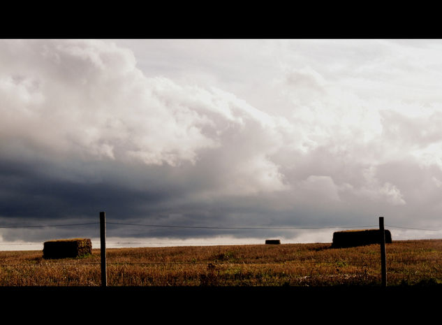 Barajores de la Peña. (Palencia) Naturaleza Color (Digital)