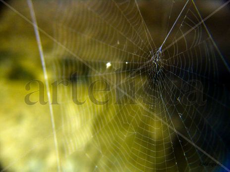 Telaraña