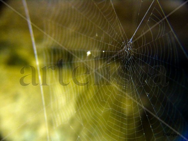 Telaraña