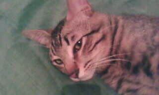 seduccion