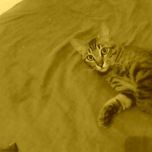 seduccion thumbnail 1