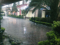 Lluvia en la zona rosa