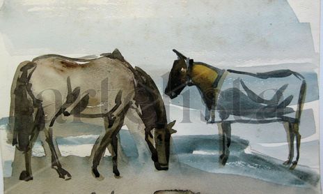 CABALLOS Y AURIGAS