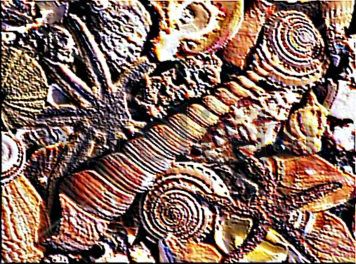 Joyas  del  mar