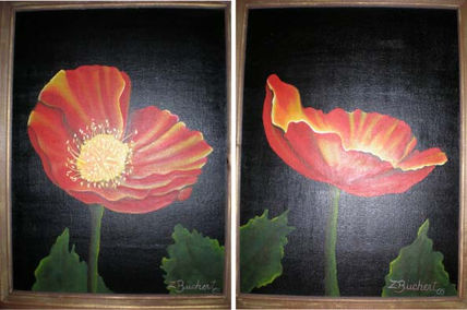 Amapolas