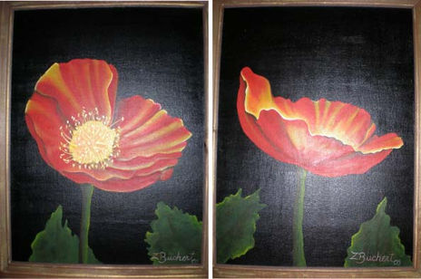 Amapolas