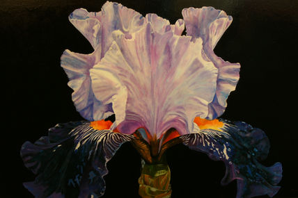 Orquidea