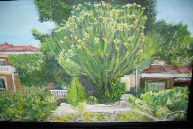 cactus gegant Oil Canvas Landscaping