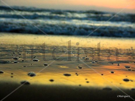 Playa en oro