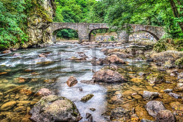 Via verde de leizaran-Puente de las brujas-Andoain. Nature Color (Digital)