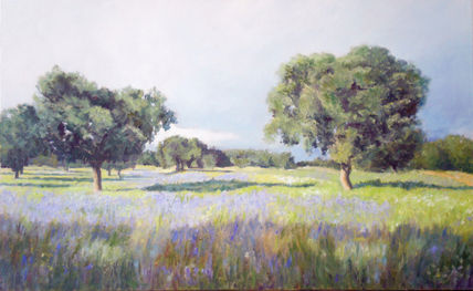 Campo de encinas
