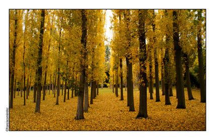 Aranjuez.