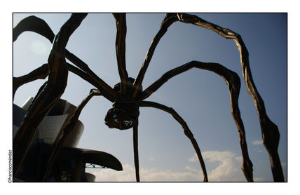 Araña.
