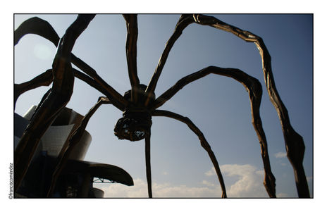 Araña.