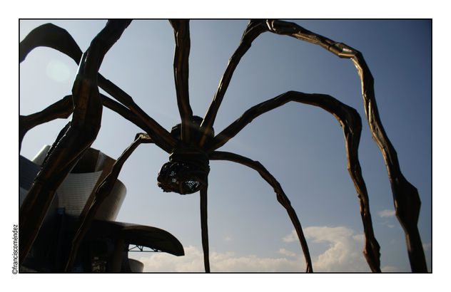 Araña.