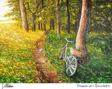 Paseo en bicicleta...