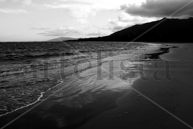 Cape Tribulation Nature Black and White (Digital)