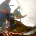 esculturas en vitrofusion thumbnail 2