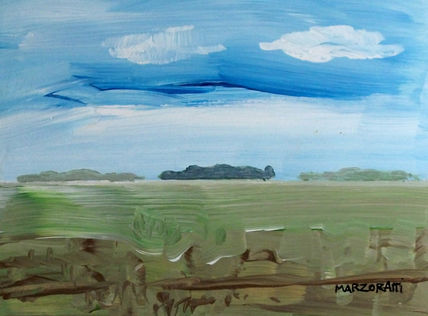 VISIONES DE LA...