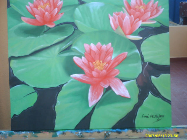 nenufares