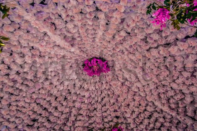 Flores de papel