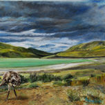 Aves de La Patagonia thumbnail 2