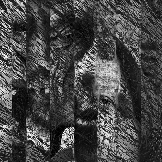 Rostros Conceptual/Abstract Black and White (Digital)