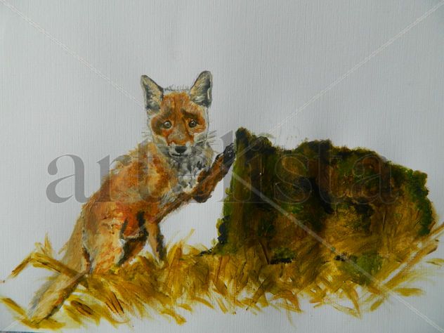 Baby fox