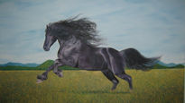 Caballo frison en...