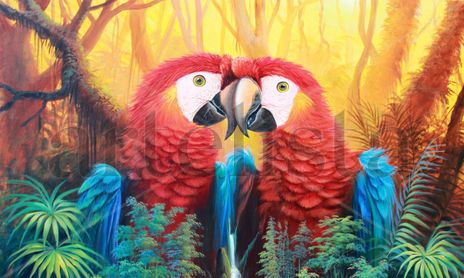ROMANCES DE LA SELVA