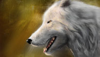 Lobo Blanco