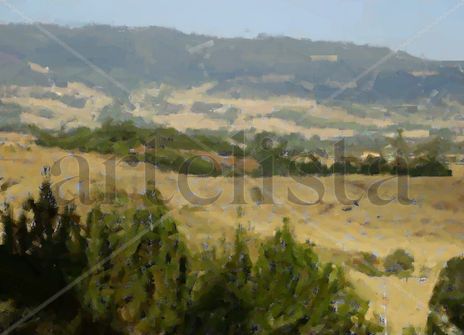 Paisaje Campestre