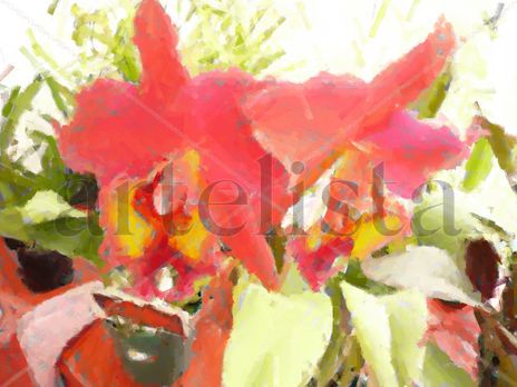 Orquideas