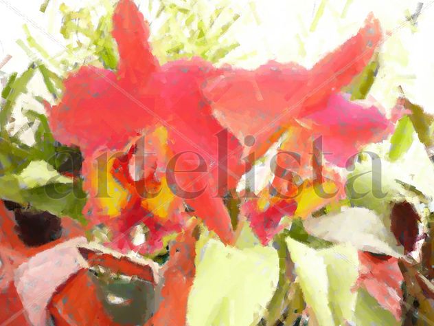 Orquideas