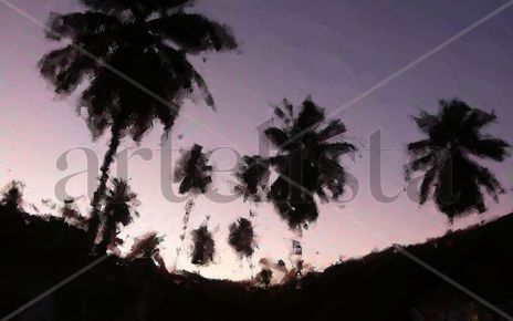 Palmeras al amanecer