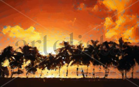 Palmeras al atardecer