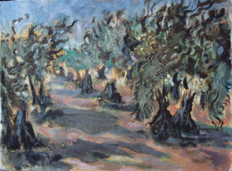 Suerte de olivos