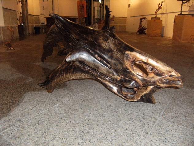 EL MUNDO MARINO