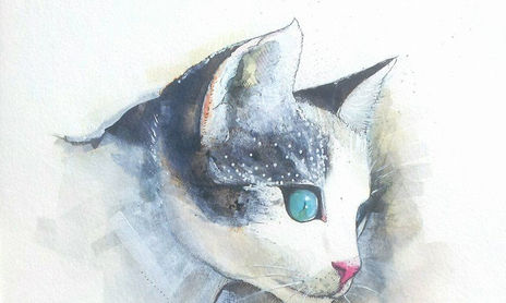 "Caturday" Cats.