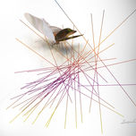 Lines thumbnail 1